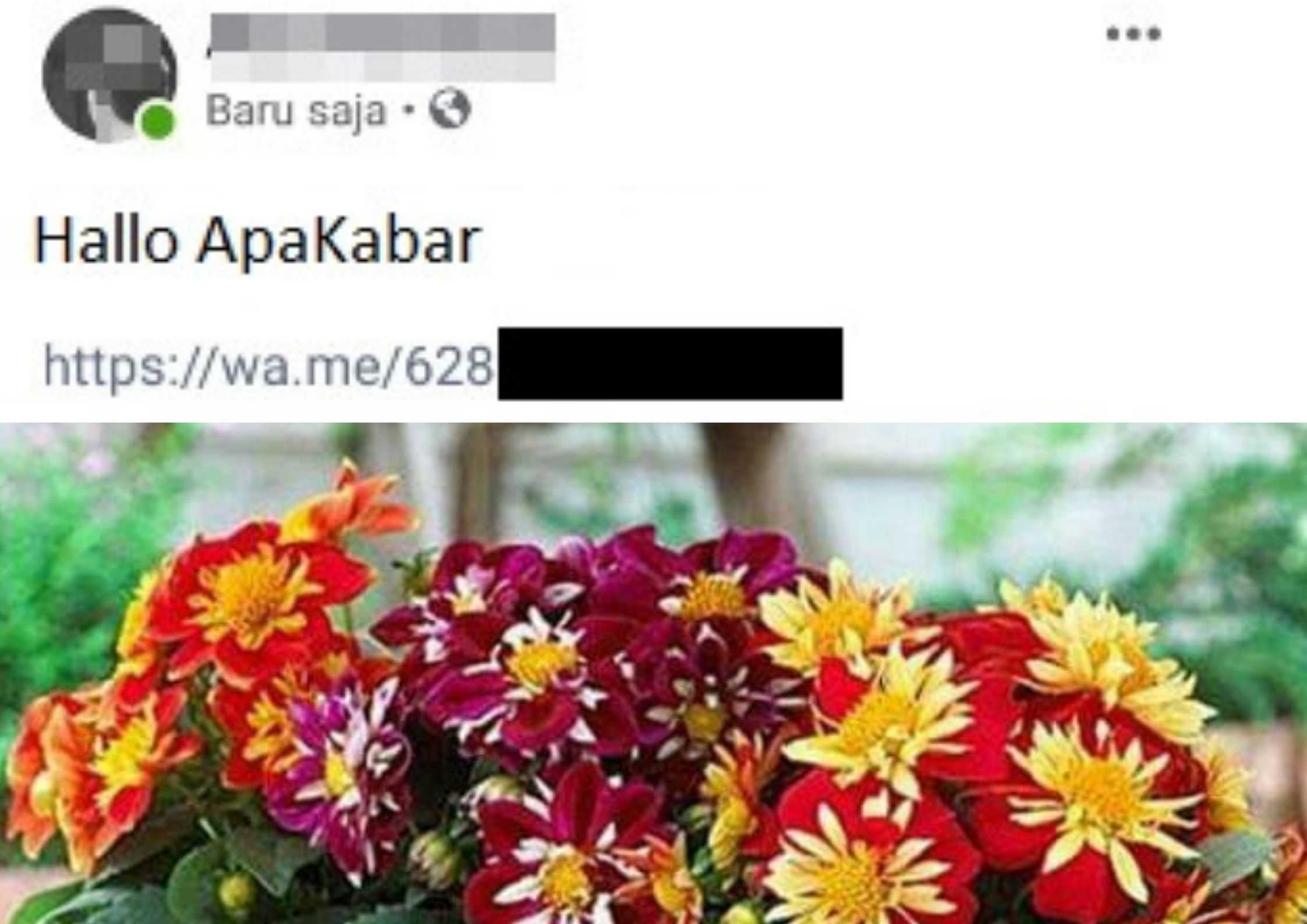 Cara Buta Link WhatsApp di FB