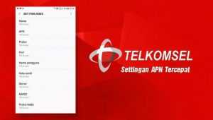 Cara Seting Internet Telkomsel 4G LTE Agar APN Lancar