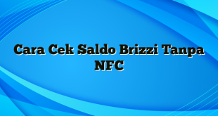 Cara Cek Saldo Brizzi Tanpa NFC