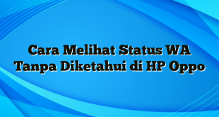 Cara Melihat Status WA Tanpa Diketahui di HP Oppo